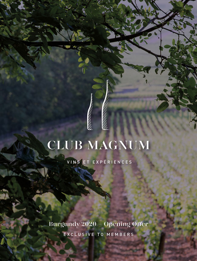 Club Magnum Burgundy 2020 brochure